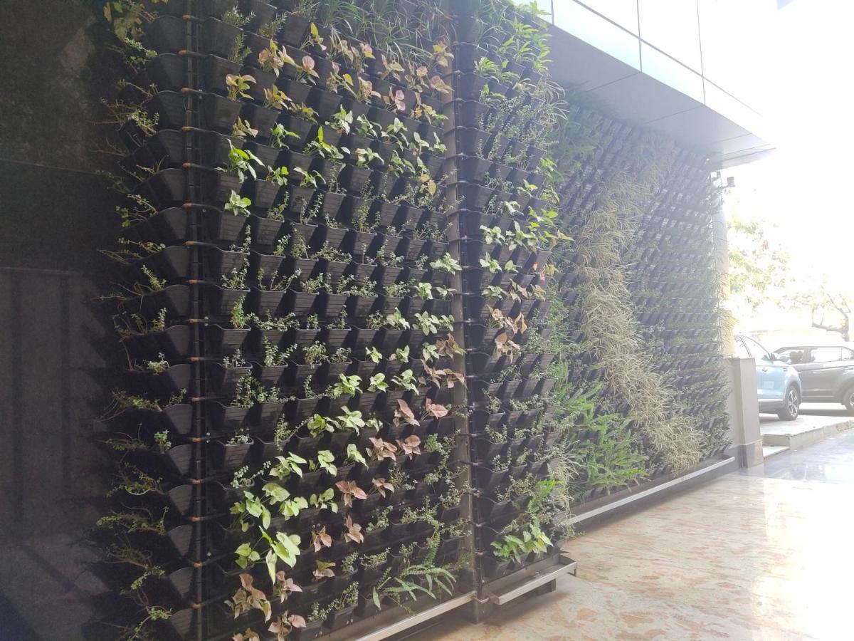 Delhieez - A Boutique Hotel New Delhi Exterior photo